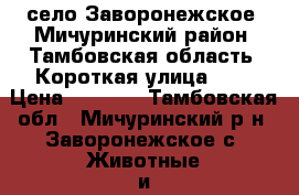 село Заворонежское, Мичуринский район, Тамбовская область, Короткая улица, 14 › Цена ­ 3 300 - Тамбовская обл., Мичуринский р-н, Заворонежское с. Животные и растения » Другие животные   . Тамбовская обл.